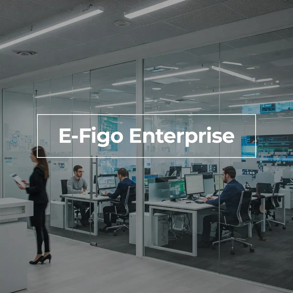 E-Figo Total Solution 599€/Mese