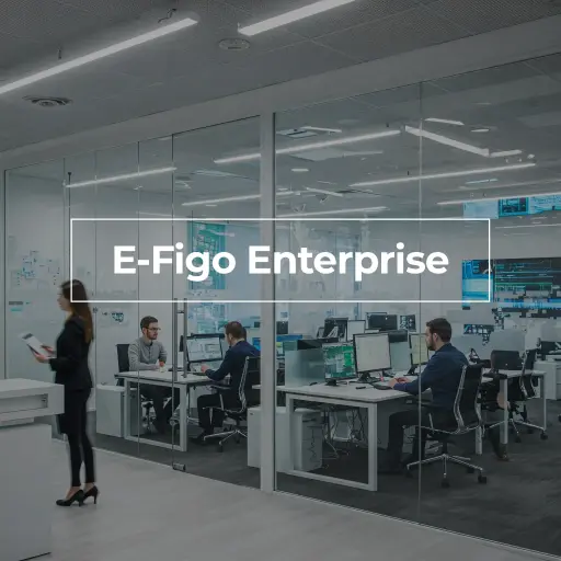 E-Figo Total Solution 599€/Mese